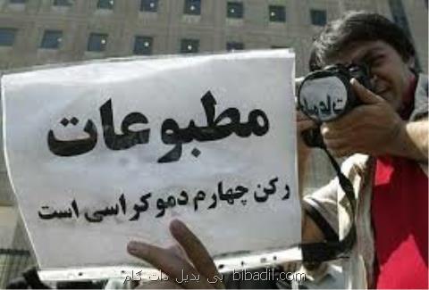 روزنامه نگار سربار و ضعیف دولت نیست