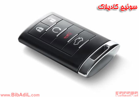 [عکس: Bibadil-PhotoJoke-900515-cadillac.jpg]