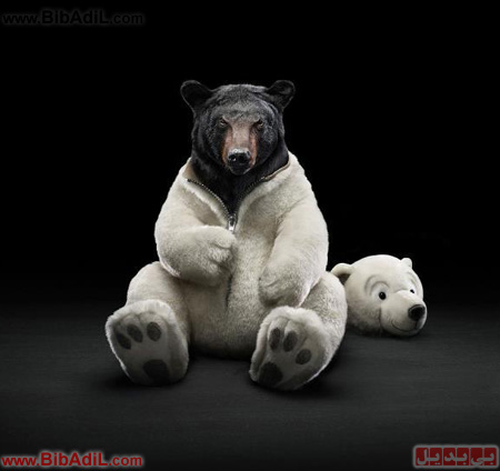 بی بدیل - خرس عروسکی