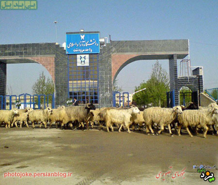 شوخی با دانشگاه آزاد