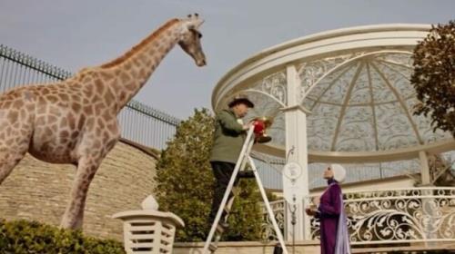 سیرك حیات وحش در سریال ها چرا محیط زیست مجوز می دهد؟