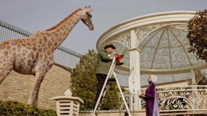 سیرك حیات وحش در سریال ها چرا محیط زیست مجوز می دهد؟