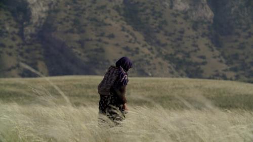 اهدای نشان دون کیشوت لهستان به مستندی از صداوسیما