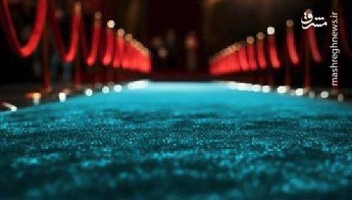 در روزملی سینما، رکورد ۲۷۹ هزار مخاطب در یک روز