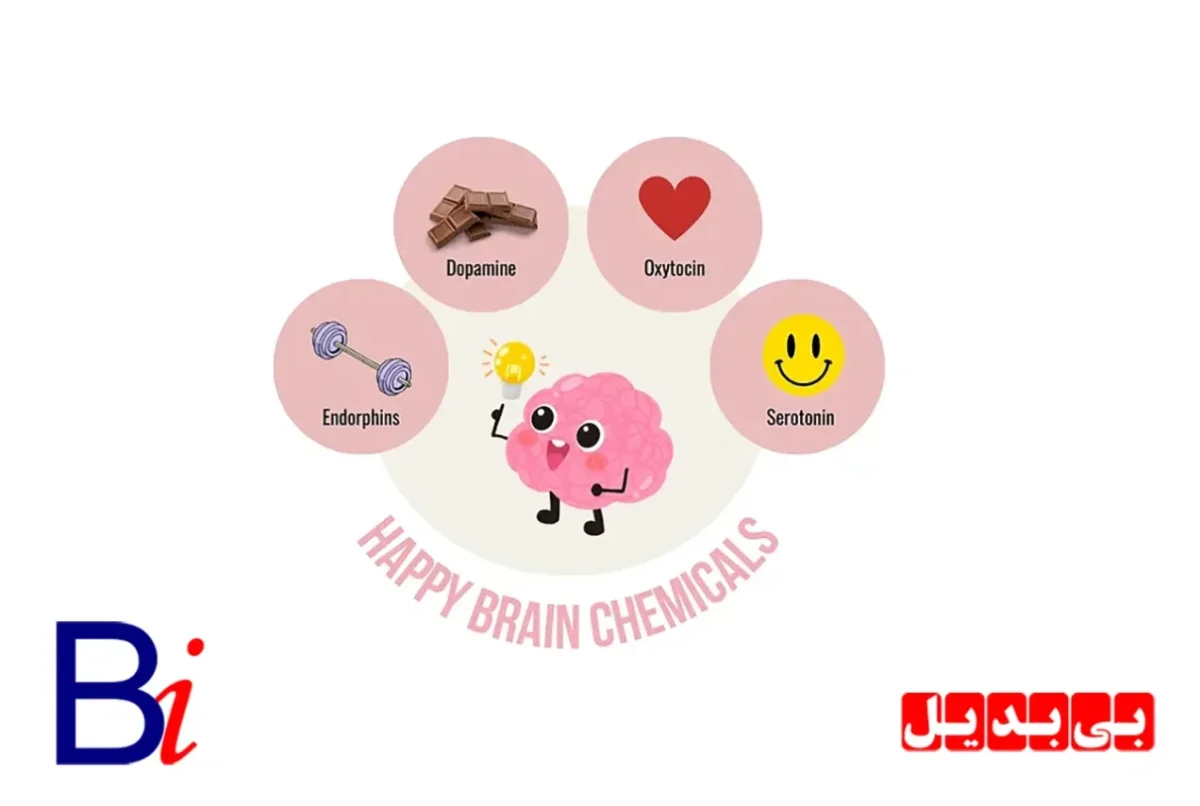 چهار ماده شیمیایی که احساس خوب را مدیریت می کنند