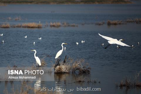 روزنامه نگاری محیط زیست بررسی میگردد