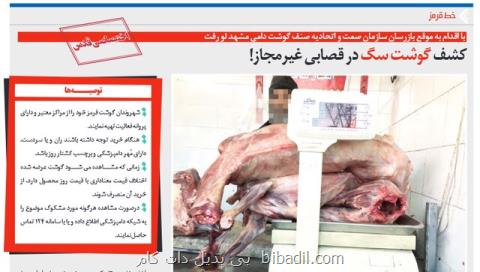 ماجرای گوشت سگ چه بود؟