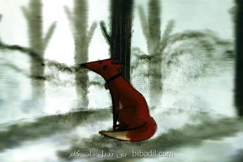 روباه ایرانی در سه جشنواره جهانی