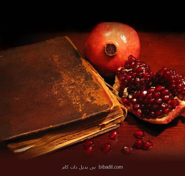 شبكه یك برای شب یلدا ویژه برنامه دارد