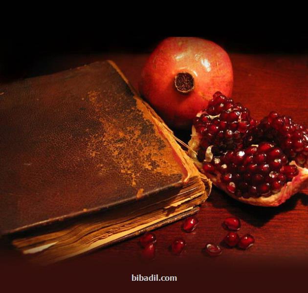 پیشنهادهای علمی چرخ برای یلدا