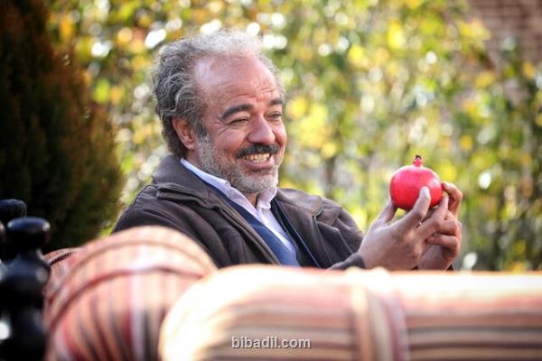 چرا نون خ بلافاصله پس از پایتخت پخش می شود؟