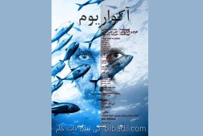 روایت قصه تلخ مهاجران در آكواریوم