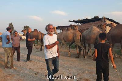 تصویربرداری سریال رعد و برق از نیمه گذشت