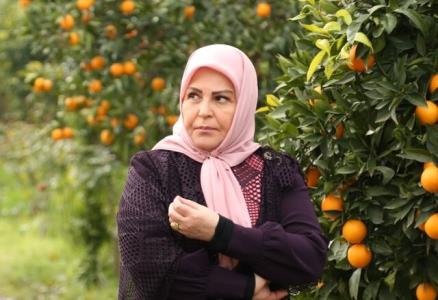 تفاوت خانه سبز با پدرسالار از نگاه اكرم محمدی